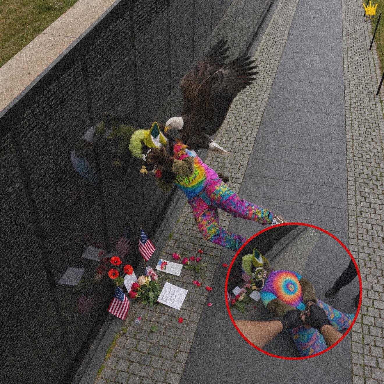 He Tried to Vandalize a Veteran Memorial… Then an Eagle Dropped Out of the Sky