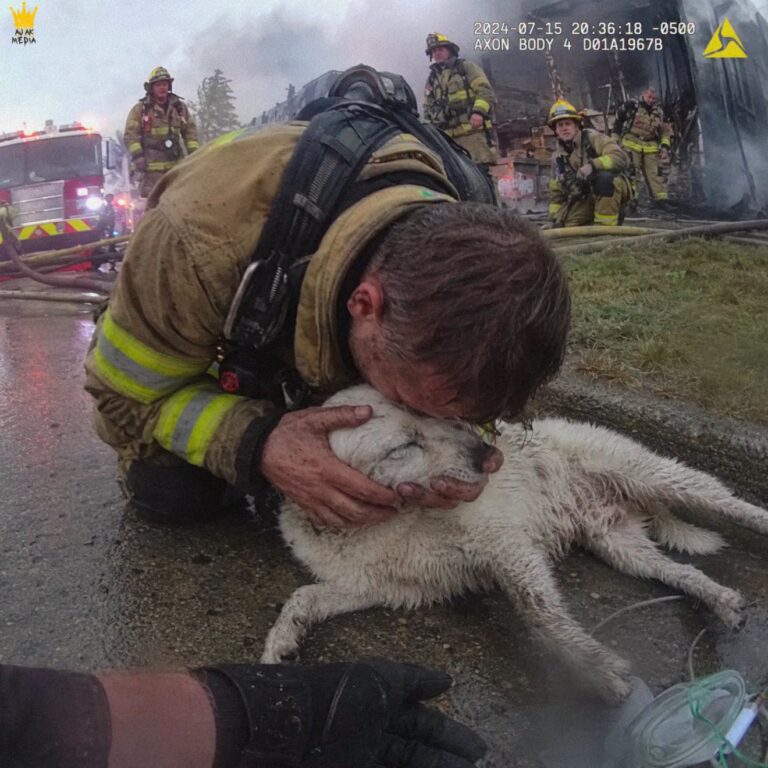 He Was Ordered Out of the Fire — Then Someone Heard the Dog