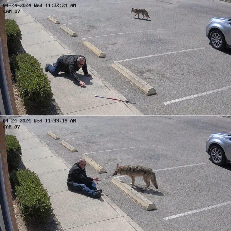 He Thought a Friendly Dog Returned His Cane But Then He Saw the Footage